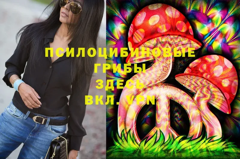 Галлюциногенные грибы Psilocybe  Светлый 